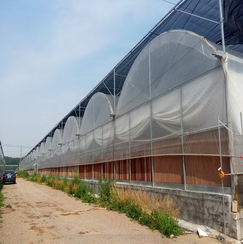 Honeycomb Evaporative Cooler Pads for Greenhouse & Poultry